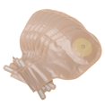 thumbnail image 4 of Dioche Ostomy Bag, Reliable Convenient Practical For Factory, 4 of 8