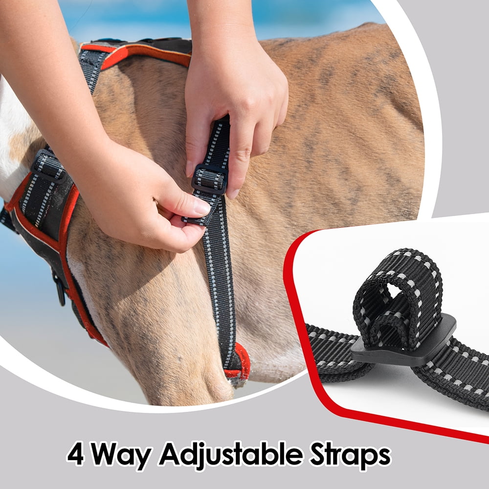 PHOEPET 2019 Upgraded No Pull Dog Harness, Reflective Adjustable Vest, with a Training Handle + 2 Metal Leash Hooks+ 3 Snap Buckles +4 Slide Buckles