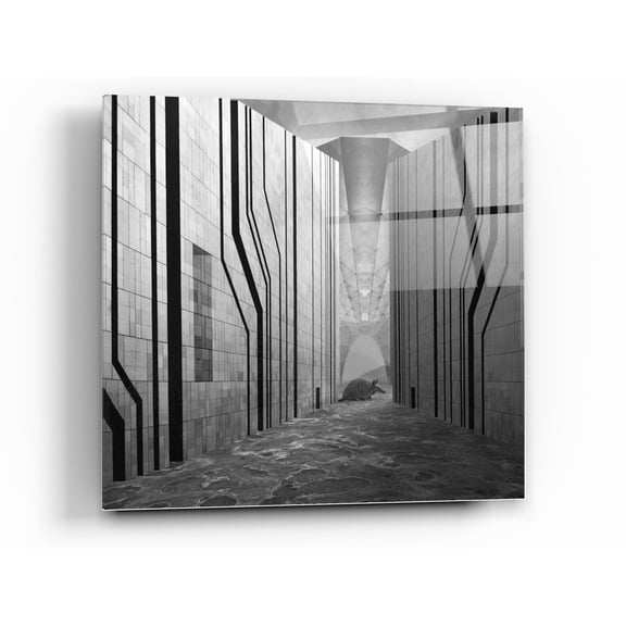 Epic Art 'Armadillo' by Dariusz Klimczak, Acrylic Glass Wall Art, 36"x36"