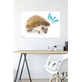 thumbnail image 4 of Trends International Hedgehog - Hi Poster, 4 of 4
