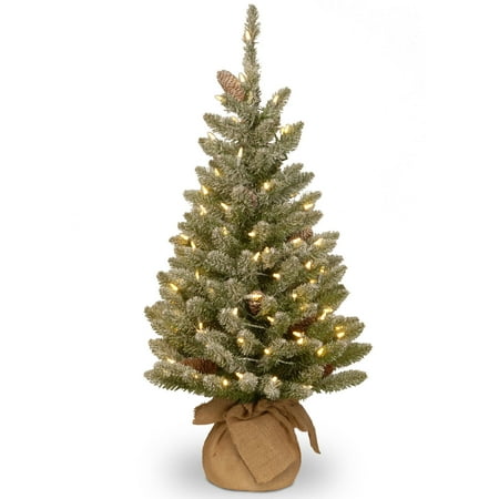 3' Snowy Concolor Fir Tree with Battery Operated LED Lights