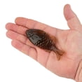 thumbnail image 3 of Berkley PowerBait® Gilly Soft Bait - Pumpkinseed, 3 of 4