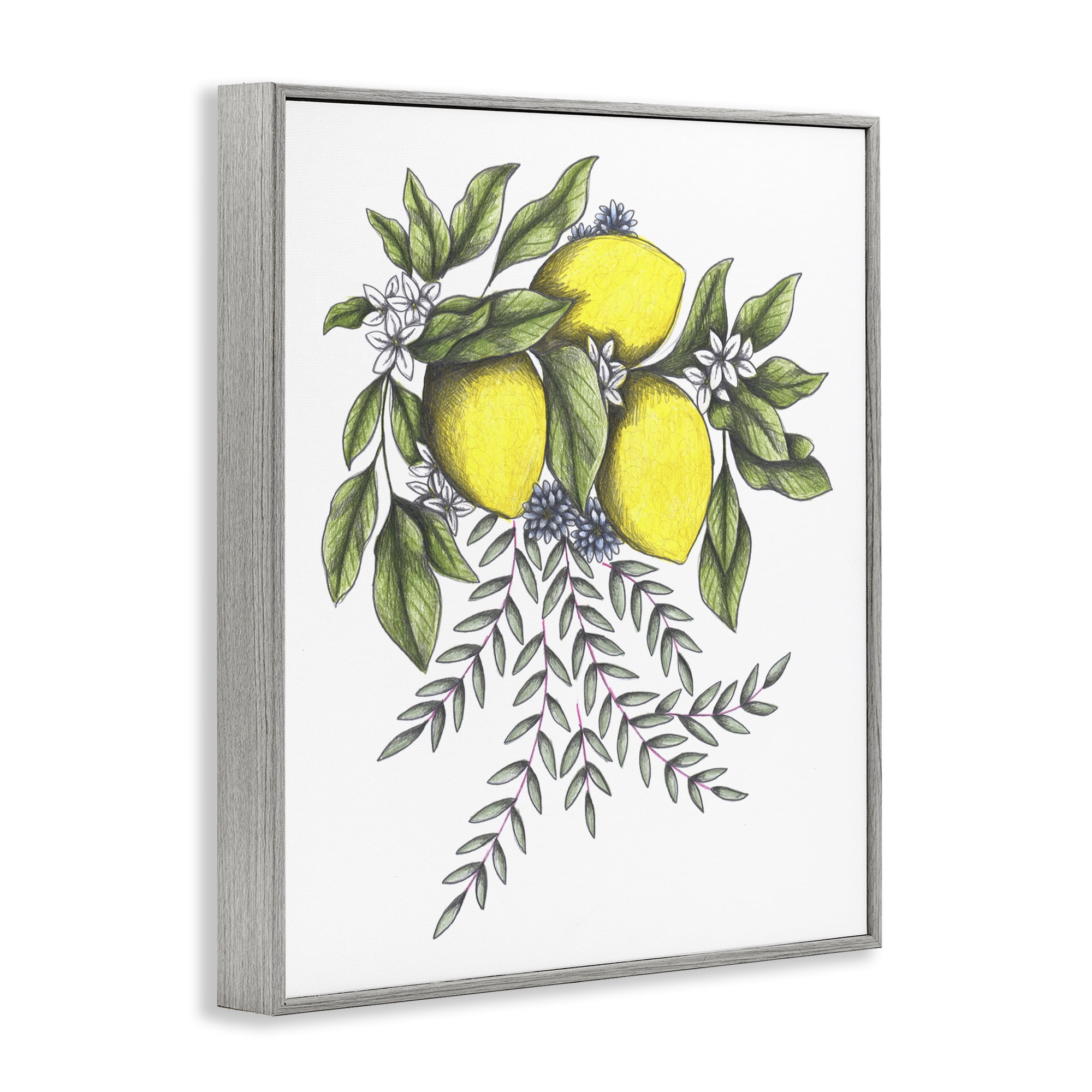 Lemons & Flowers Vintage Sketch Gray Framed Giclee Art, design by Cecilia Battaini