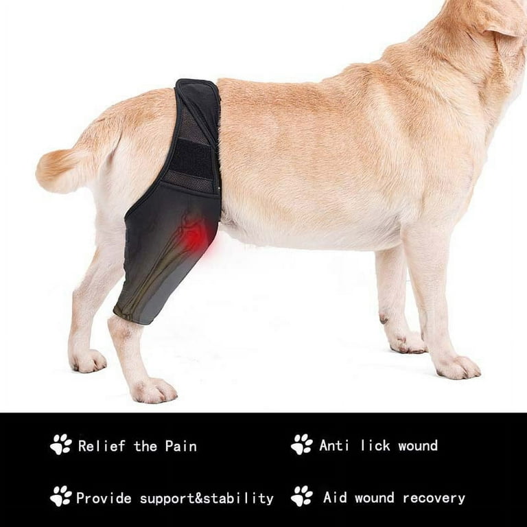 Dog Knee Brace for 4 legs, Leg Brace for ACL with Cruciate Ligament Injury,Joint  Pain and Muscle Sore, Adjustable Rear Support for Knee Cap Dislocation,Pet  Knee Brace 