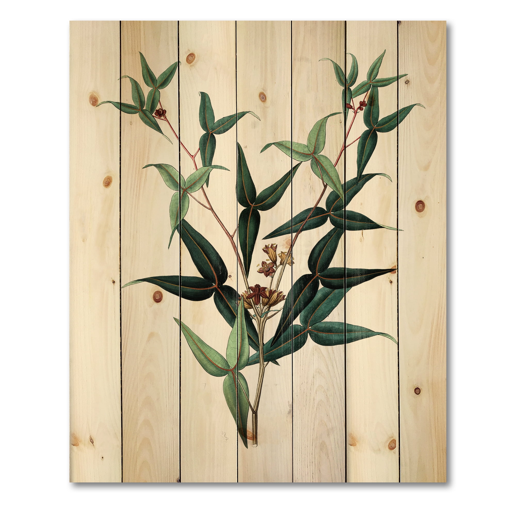 Designart 'Ancient Green Leaves Plants VIII' Traditional Print on Natural Pine Wood