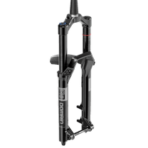 RockShox Domain Gold Isolator RC3 Suspension Fork - 29", 150 mm, 15 x 110 mm, 44 mm Offset, Gloss Black, C1