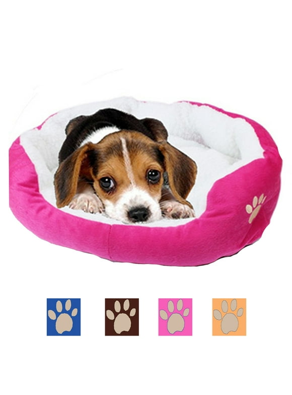Small Dog Beds in Dog Beds