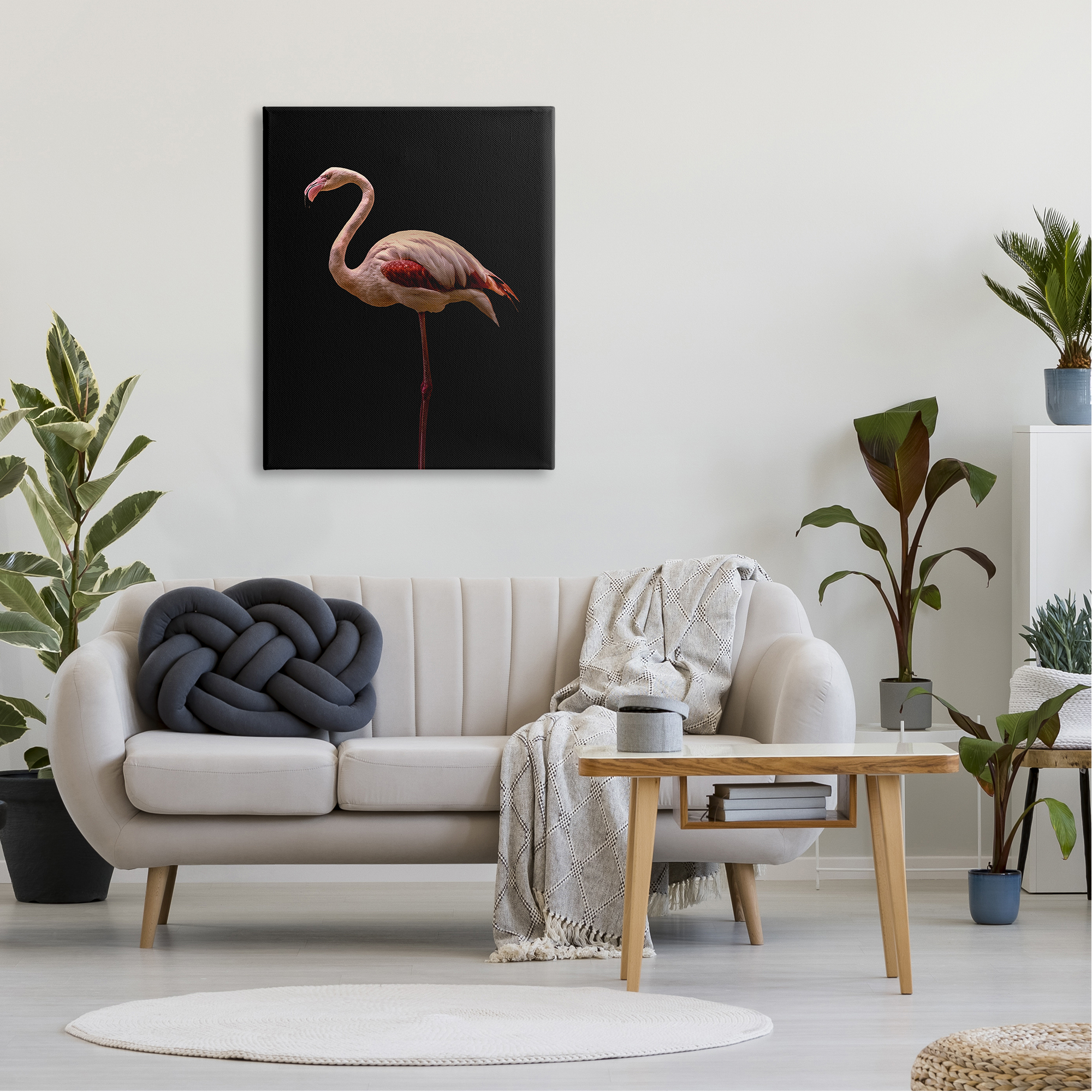 Stupell Industries Striking Pink Flamingo Portrait Detailed Photography , 30 x 40, Design by Incado