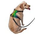 thumbnail image 3 of Picia Glitter Rainbow No-Pull Dog Harness Reflective Front Clip Vest with Handle,Step-in Air Dog Harness,Adjustable 2 Metal Rings 4 Buckles,Easy to Put on & Take Off Large, 3 of 9