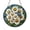 Acrylic 3.5 Inch, variant on Floating Glass Frame with Daisy Bouquet Design, Minimal Floral Display Decor Accent for Modern Home Styling