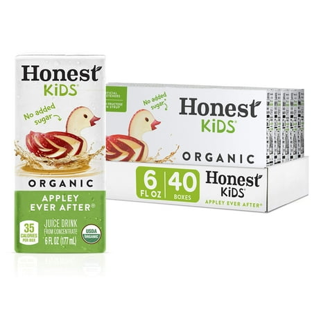 Honest Kids Appley Ever After  Organic Juice Drink  6 Fl oz Juice Boxes  Pack Of 40  Apple(( Use By / 06/12/2026)) 