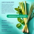 thumbnail image 3 of Natural Dishwasher Pods | Plant-Based Enzyme Dishwasher Detergent, Lemongrass & Wild Mint, Eco-Friendly, Tough on Grease & Food Residue, 60 Count, 3 of 4