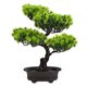 thumbnail image 2 of Árbol bonsái artificial, planta falsa, decoración, árbol en maceta, pino artificial de bienvenida, planta en maceta, 2 of 8
