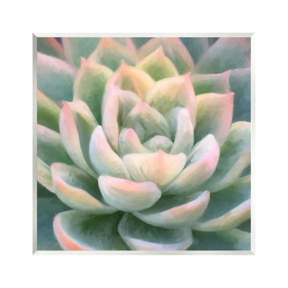Stupell Industries Green Succulent Petals Botanical & Floral Painting Unframed Art Print Wall Art, 12 x 12