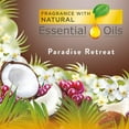 thumbnail image 2 of Air Wick Life Scents Automatic Air Freshener Spray, Paradise Retreat with Coconut, Almond Blossom & Cherry Scent (Pack of 2), 2 of 5