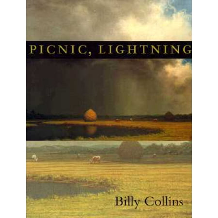 Picnic, Lightning