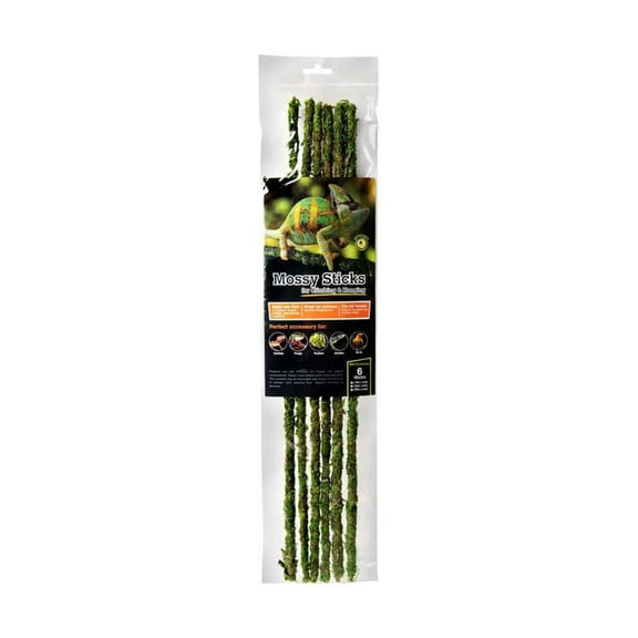 Galapagos Mossy Sticks Terrarium Ornament