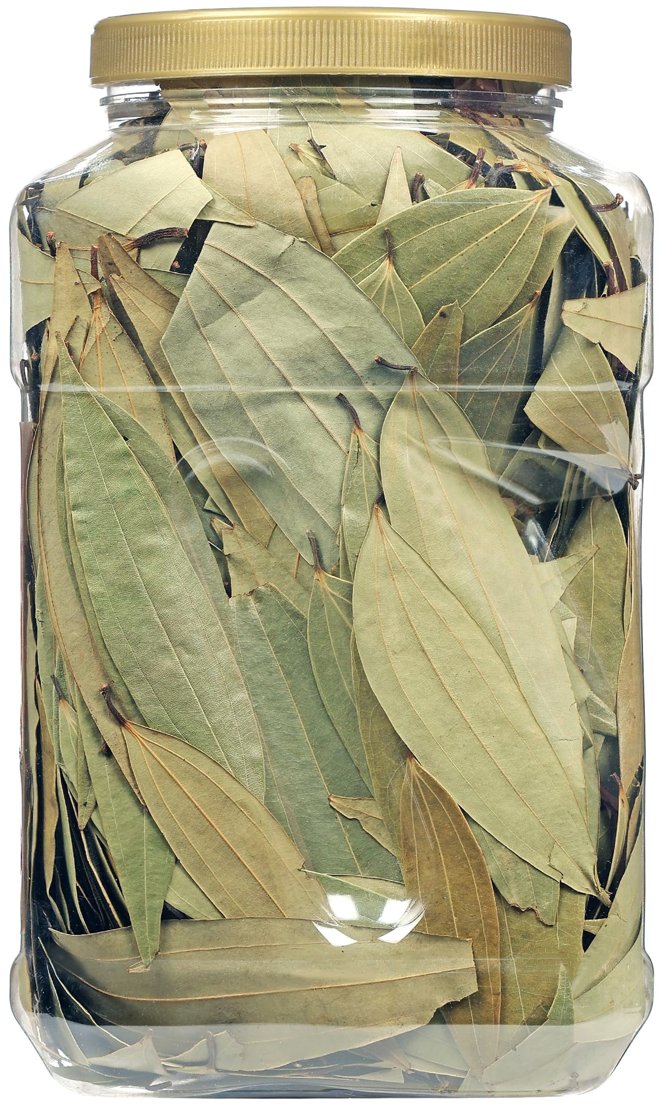 Rani Bay Whole Leaf (Leaves) Spice Hand Selected Extra Large 16oz (1lb) 454g Bulk PET Jar ~ All Natural | Gluten Friendly | NON-GMO | Vegan | Kosher | Indian Origin (Tej Patta)