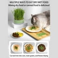 thumbnail image 2 of Hydroponic Cats Grass Planter, at Grass Planter(No Seeds Included), Cat Grass Kit for Indoor Cats, Wheat Grass Growing Cup with Removable Tray, Easy to Grow Cat Grasses Growing, 2 of 6