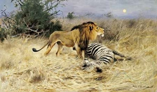 A Lion With His Pre
