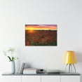 thumbnail image 6 of Beautiful Poppy Field During Sunrise Flower Canvas Wall Art for Home Decor Ready-to-Hang, 6 of 18