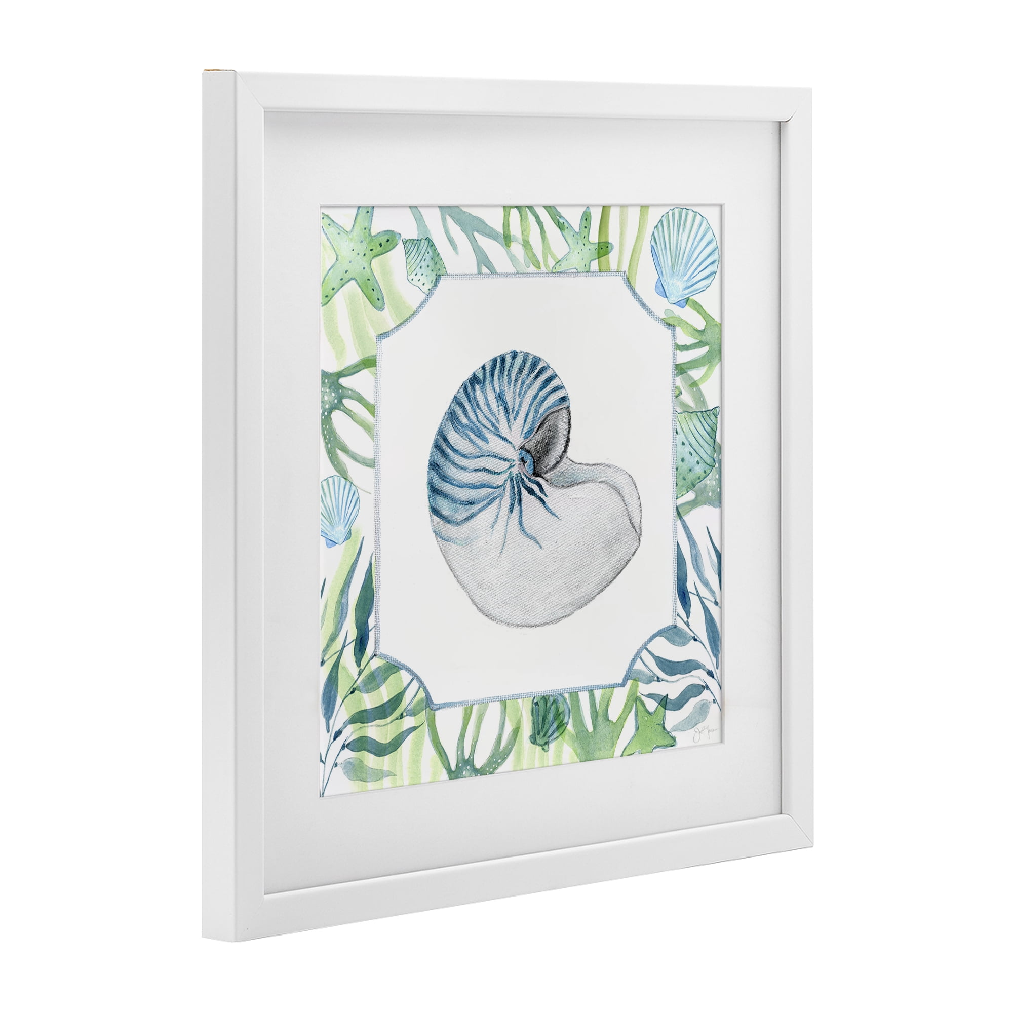 Stupell Industries Seaweed & Seashells Aquatic White Framed Print Under Glass, design by Janet Tava