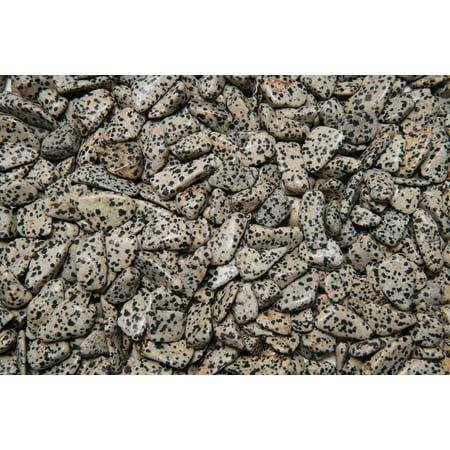 Fantasia Crystal Vault: 1/2 lb High Grade Dalmatian Jasper Tumbled Stones - Small - 0.75