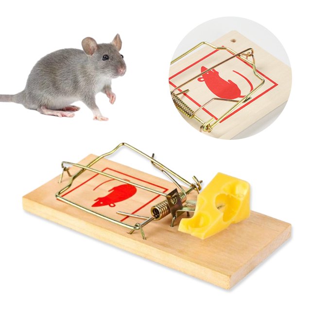 Trampas Seguras para Ratones Juego Fácil El Exterior Del Garaje La Casa