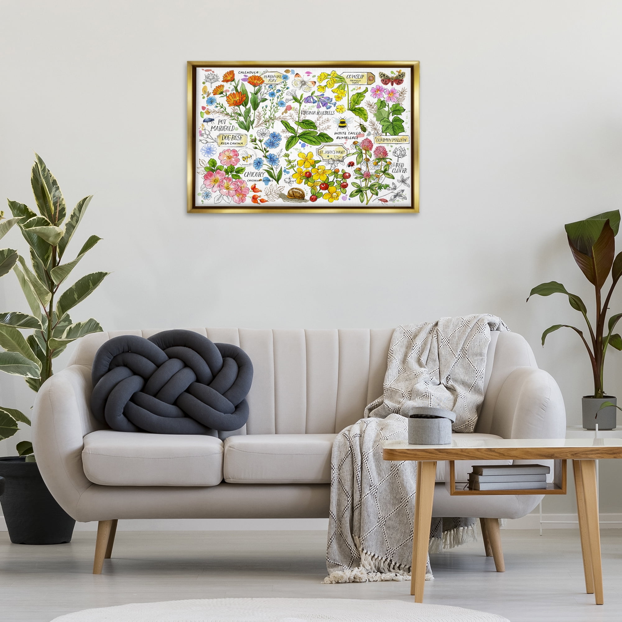 Stupell Industries Various Herbs Benefits Botanical & Floral Painting Gold Floater Framed Canvas Art Print Wall Art, 31 x 21