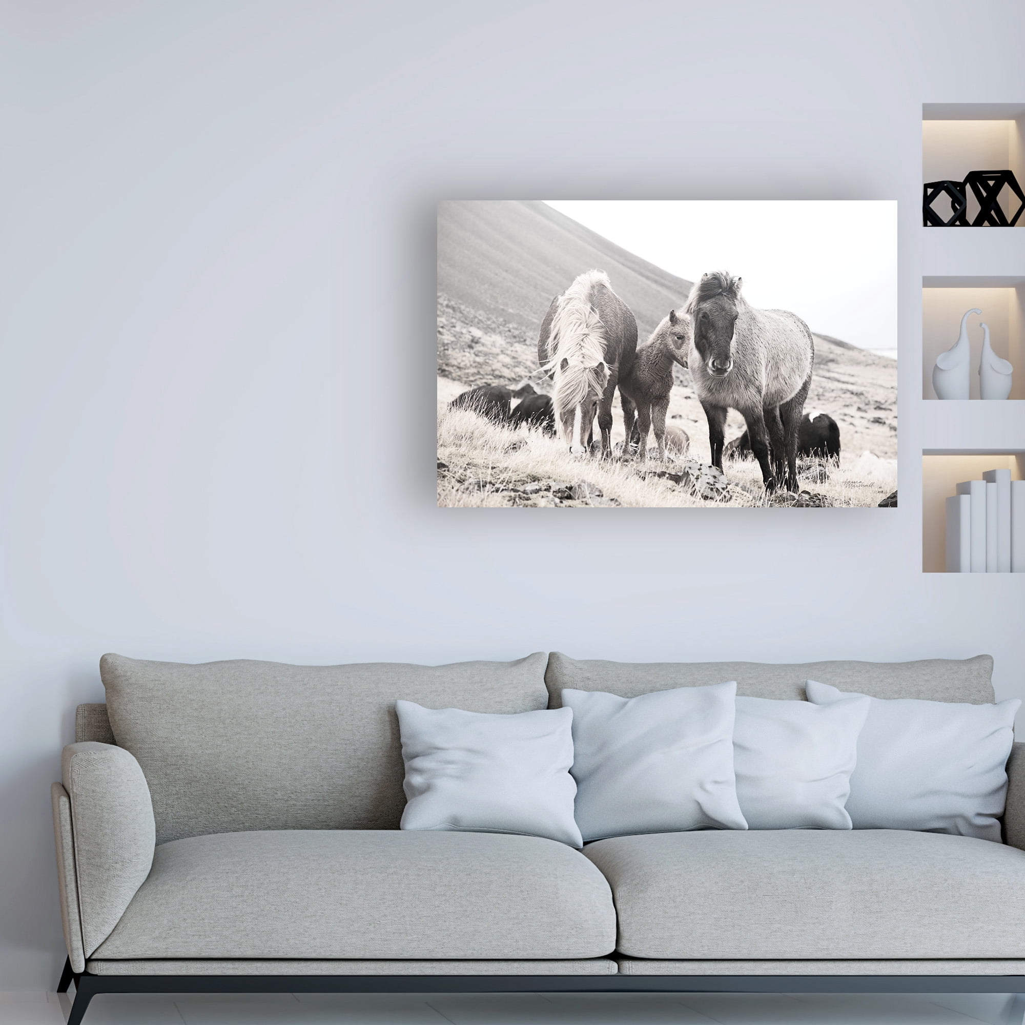 Trademark Fine Art 'Horses of Hofn I BW' Canvas Art by Laura Marshall