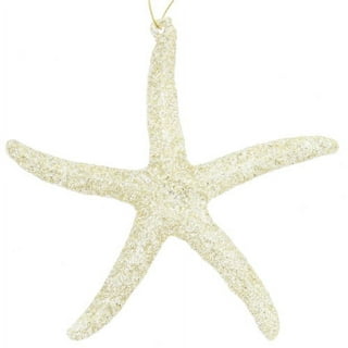 Nautical Crush Trading - Starfish for Crafts - White Starfish Wall dcor - Beach Starfish dcor - 10 Pack Assorted Star Fish 2-6 inch