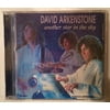 David Arkenstone another star in the Sky
