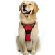 thumbnail image 2 of Arnés para perros sin tirones, arnés acolchado ajustable para mascotas para perros grandes que entrenan o caminan, negro (XL) Rojo Verde MX-0127952FYD, 2 of 5