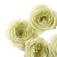 thumbnail image 2 of Artificial Flowers Bright Fastness Silk Persistent Beautiful Simulates Flower for Bedroom Decoration Green, 2 of 5