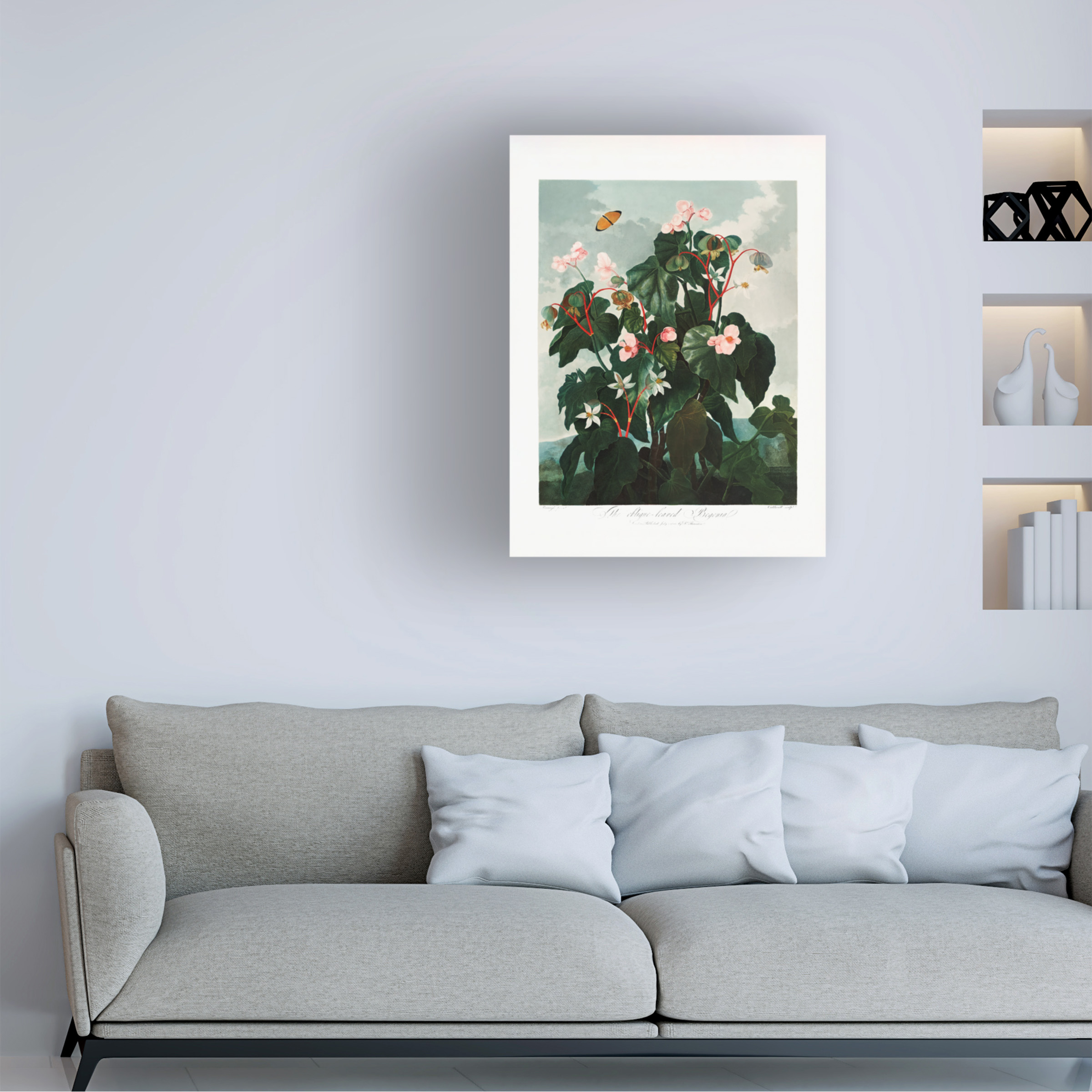 Pictufy 'The Obliquea锟斤拷Leaved Begonia from The Temple of Flora 1807' Canvas Art