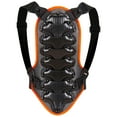thumbnail image 1 of Labymos Kids Cycling Back Spine Protector for Bike Riding Cycling Skating Skiing Skateboarding Body Guard, 1 of 7