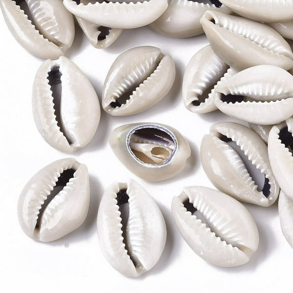 Natural Cowrie Shell Beads No Hole/Undrilled Linen 22~28x16~19x8~9mm