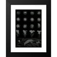 thumbnail image 2 of Alfred Frédol 11x14 Black Modern Framed Museum Art Print Titled - Development of a Mollusk (1866), 2 of 5