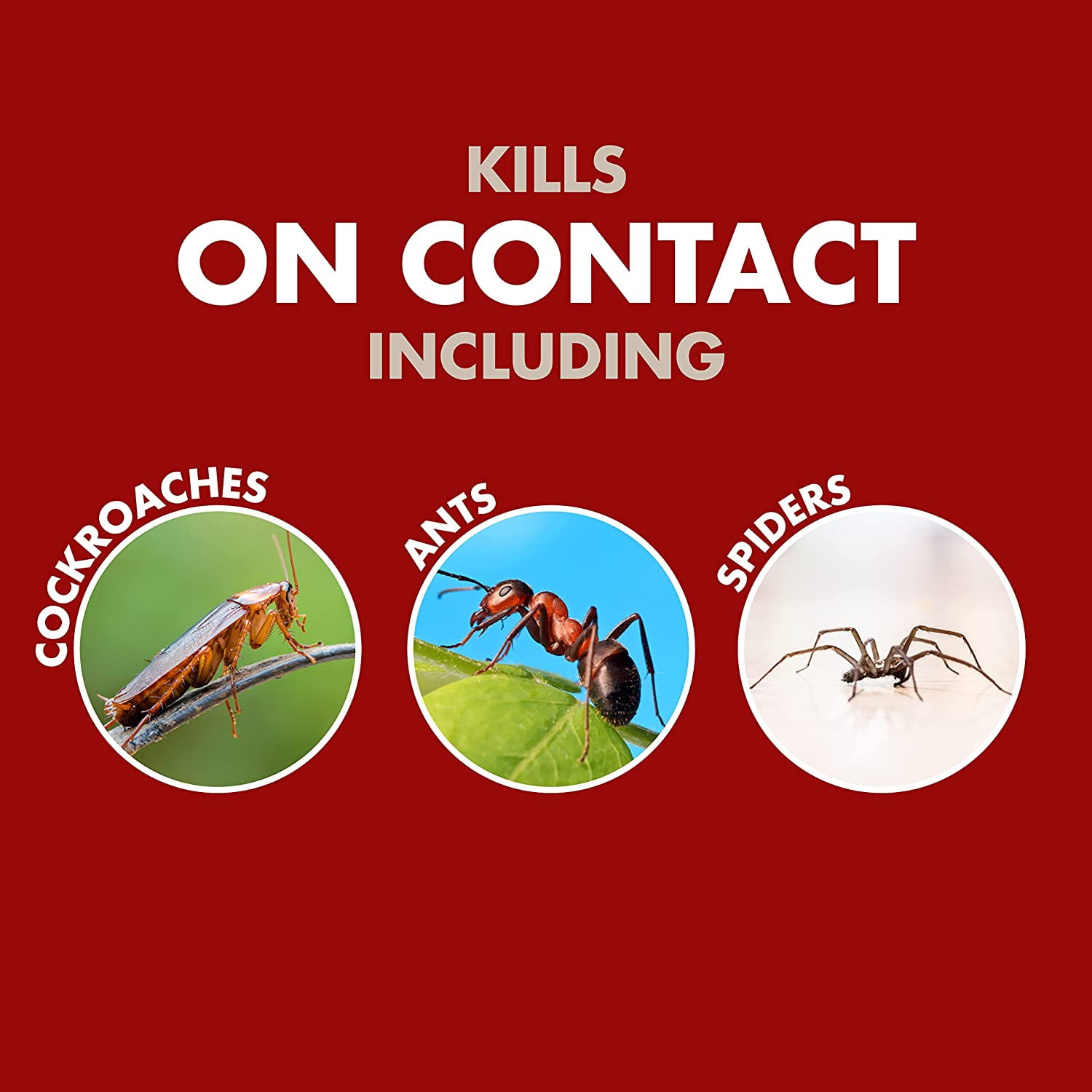 Insect Control Spectracide Bug Stop Home Barrier, 128 fl oz