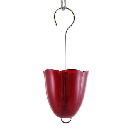 Droll Yankees Hummingbird Feeder Ant Moat Dyam (Best Way To Keep Ants Out Of Hummingbird Feeder)