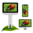 thumbnail image 4 of Microscopio digital BEAVERLAB Finder 1600X para niños 4.0, 4 of 6