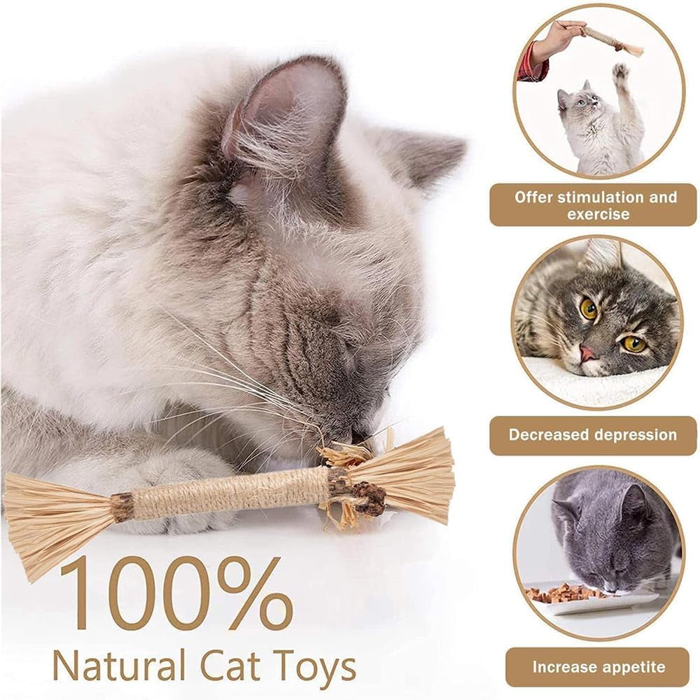 Elystria Silvervine, Elystria Natural Silvervine Dental Sticks, Silvervines Sticks for Cats, Interactive Kitten Chew Playthings, Pets Cat Chew Stick Toy, for Cats Teeth Cleaning