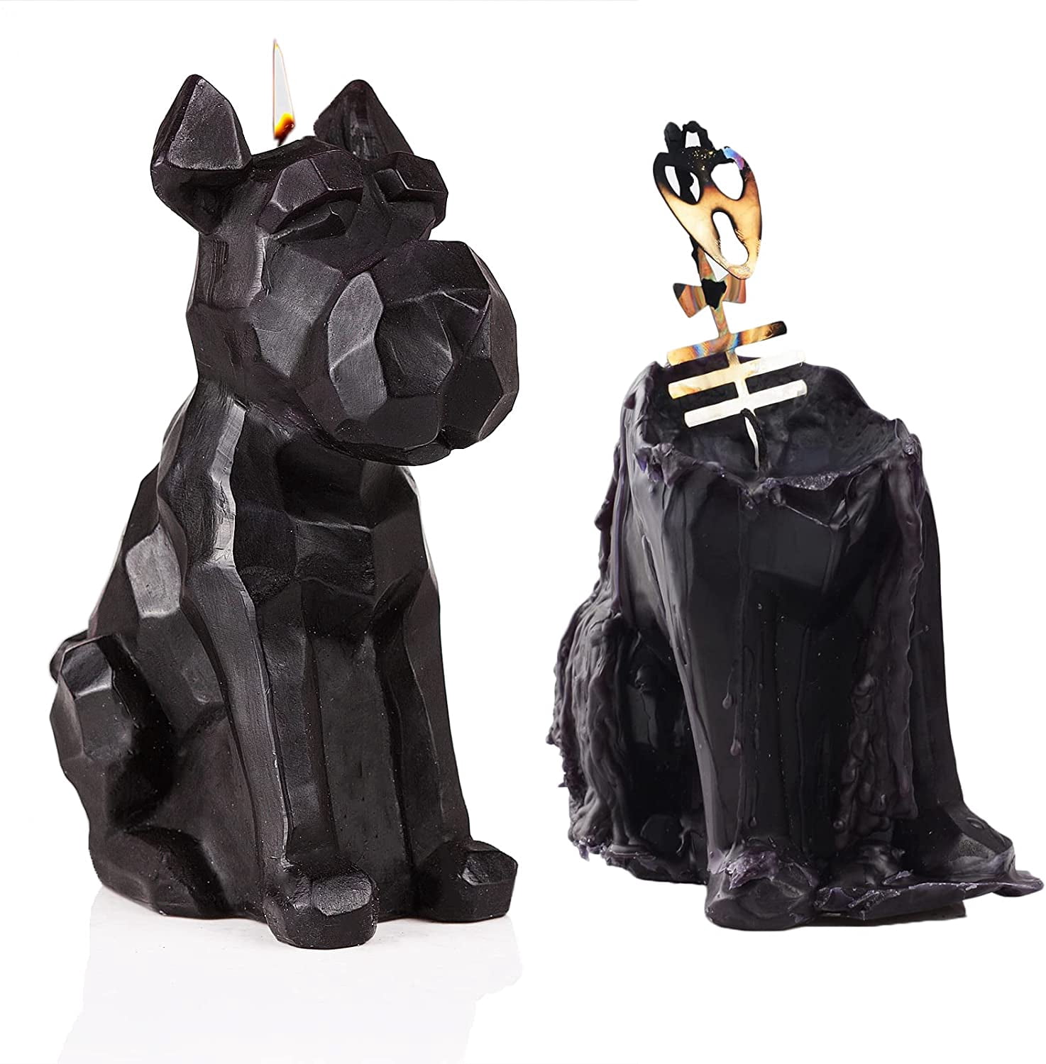 GUTE Giant Schnauzer Skeleton Candle 8" H Burns for 5.5 Hours! - Unique