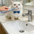 thumbnail image 2 of Head Toothbrush With Soft Silicone For And And Oral Hygiene Cleaning, 2 of 6