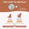 thumbnail image 6 of BestLife4Pets Worm Defense for Cats & Kittens - Natural Supplement to Remove Worms Infestation, 6 of 12