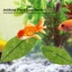 thumbnail image 1 of Hojas Artificiales ANGGREK para acuarios Hamaca Betta 3.5x1.6 pulgadas, 1 of 8