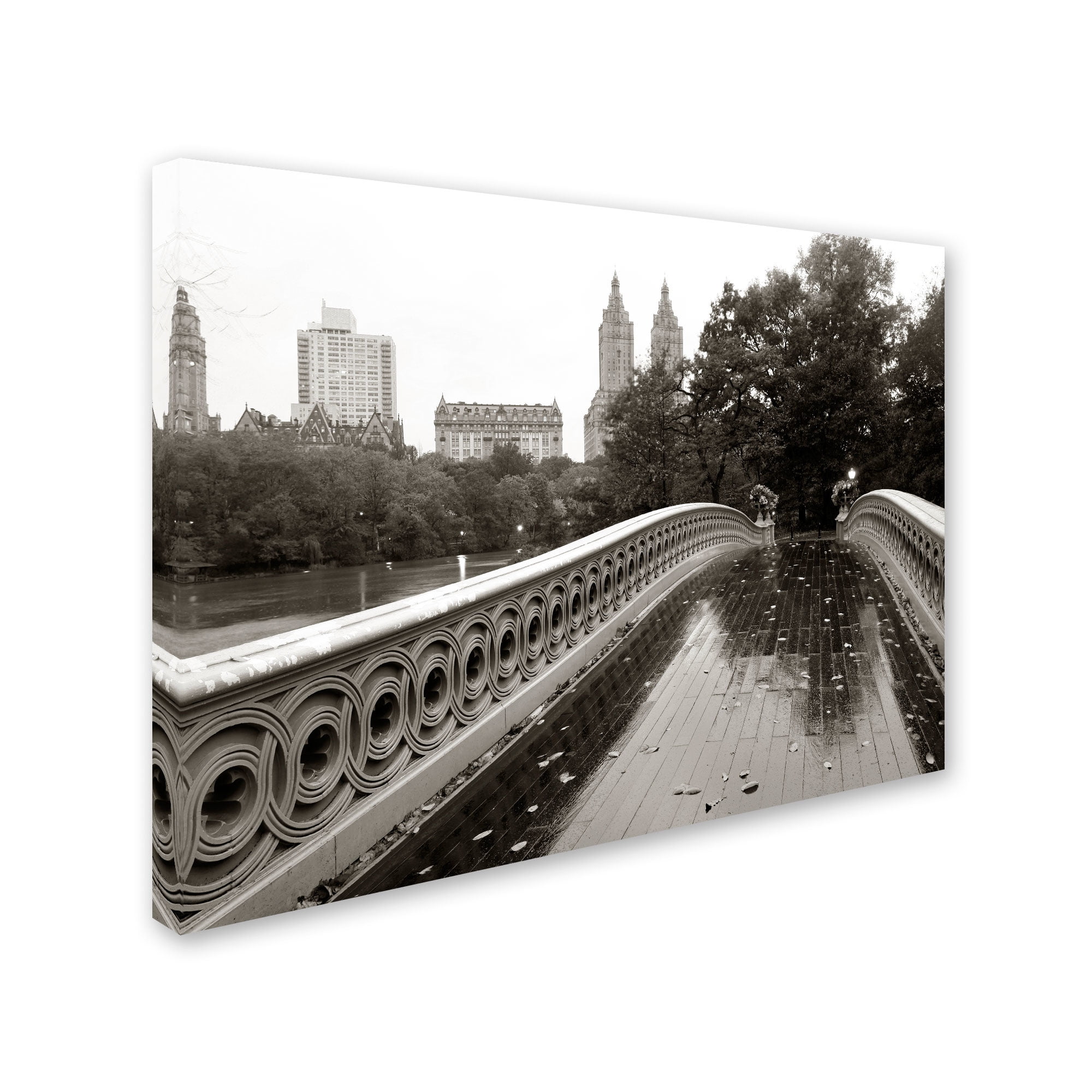 Trademark Fine Art "Bow Bridge 2010" Canvas Art by Chris Bliss