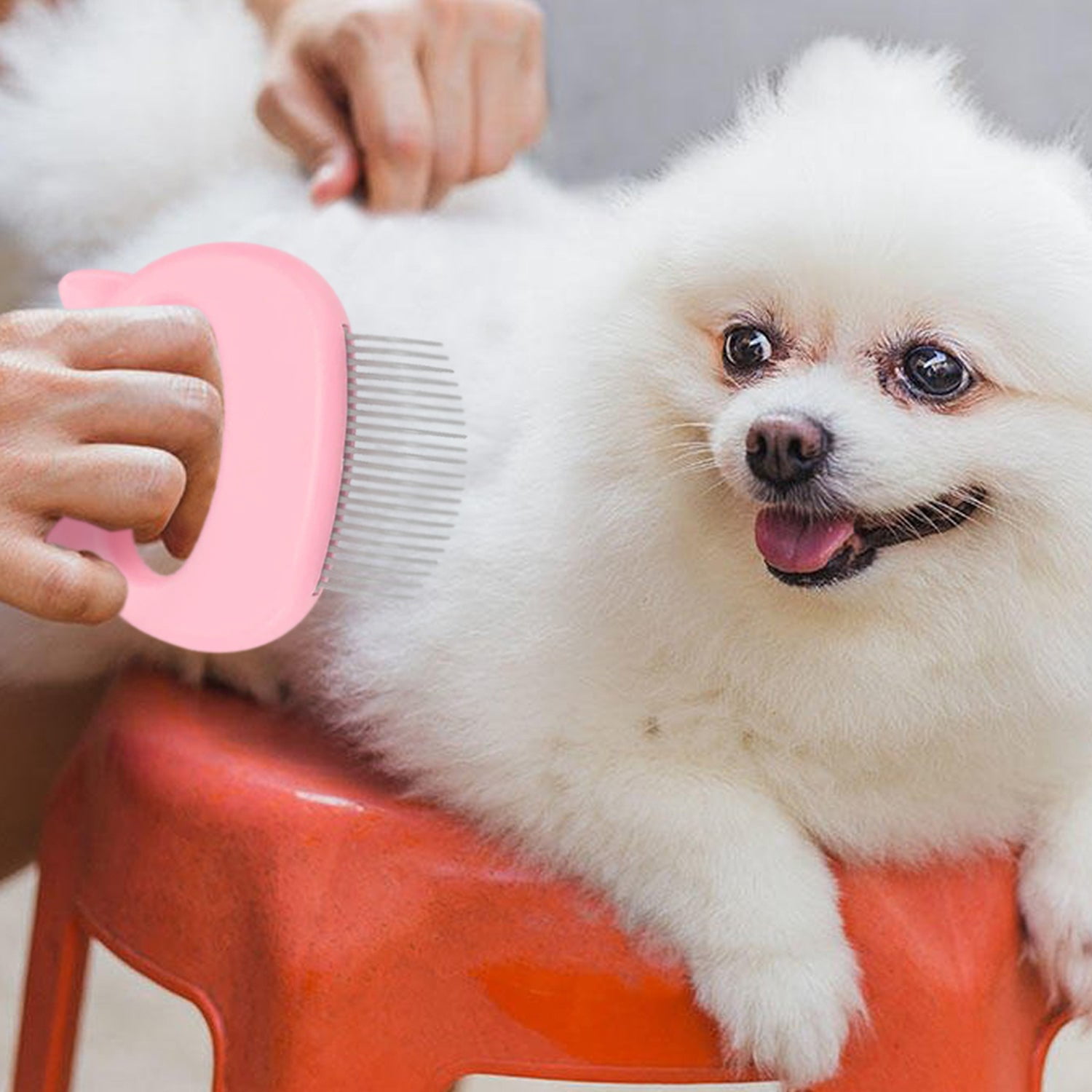 Cat Pet Hair Removal and Massaging Shell Comb Brush - 2 Pack