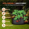 thumbnail image 5 of iPower 5 Gallon 6-Pack Plant Grow Bag Fabric Pots Containers-Black, 5 of 7