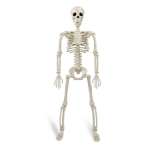 Happydeer 36" Halloween Posable Skeletons Full Body Plastic Human Bone Model with Movable Joints for Yard Haunted House Indoor Outdoor Decor (90 cm)